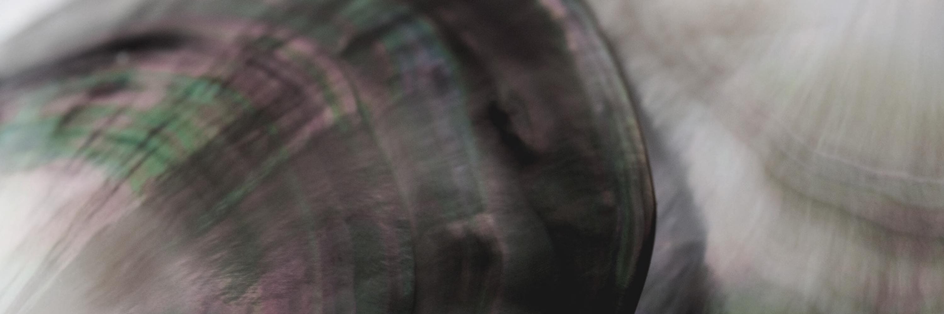 黒蝶貝が持つ深い意味──なぜ現代男性に癒しの選択肢として選ばれるのか?