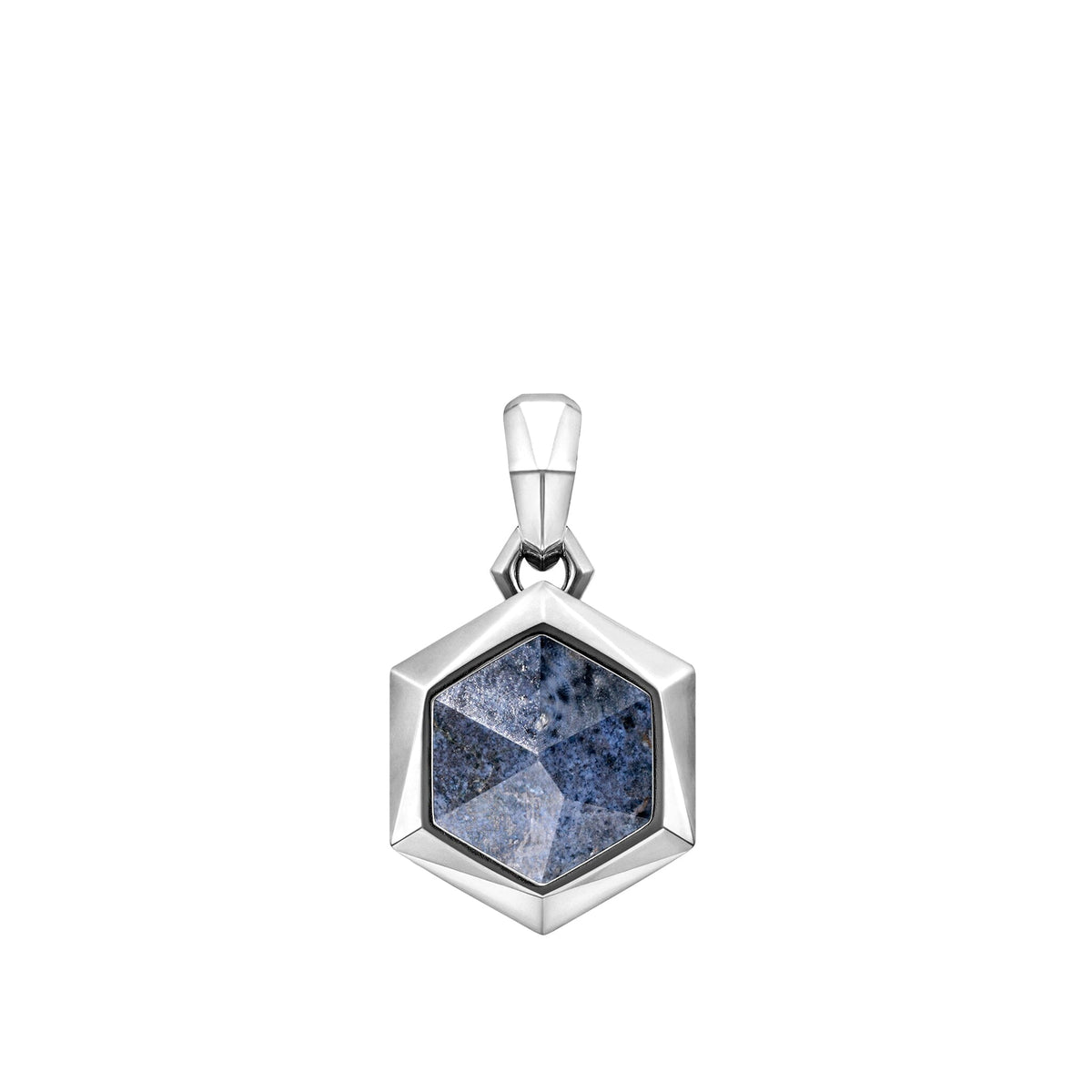 Shield Necklace Dumortierite ネックレス AWNL