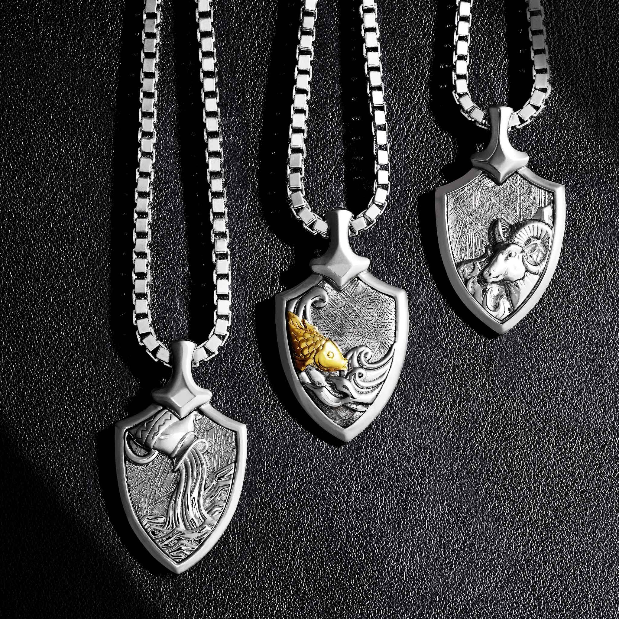 隕石 みずがめ座 ネックレス - 天然石&隕石ジュエリーショップ - AWNL Japan