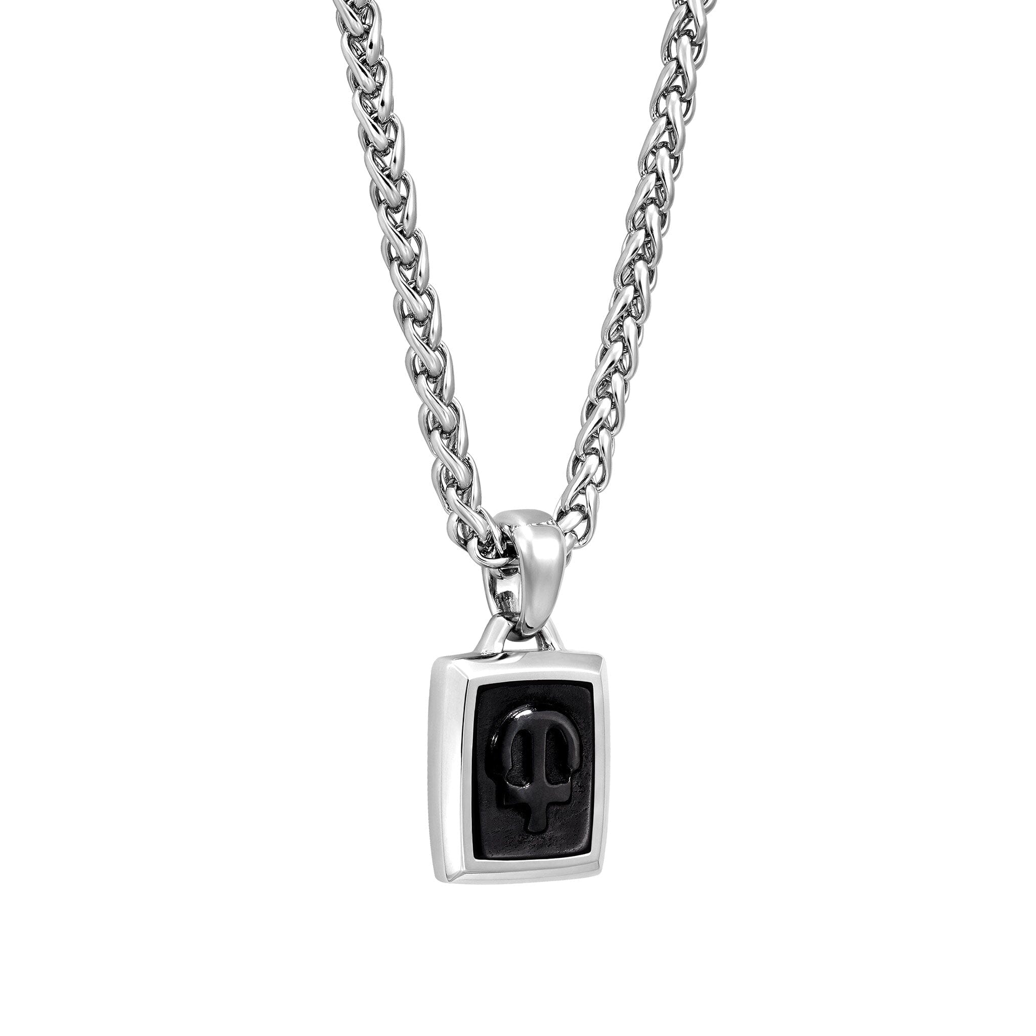 Kronos Spiga Necklace Hawk Eye ネックレス AWNL