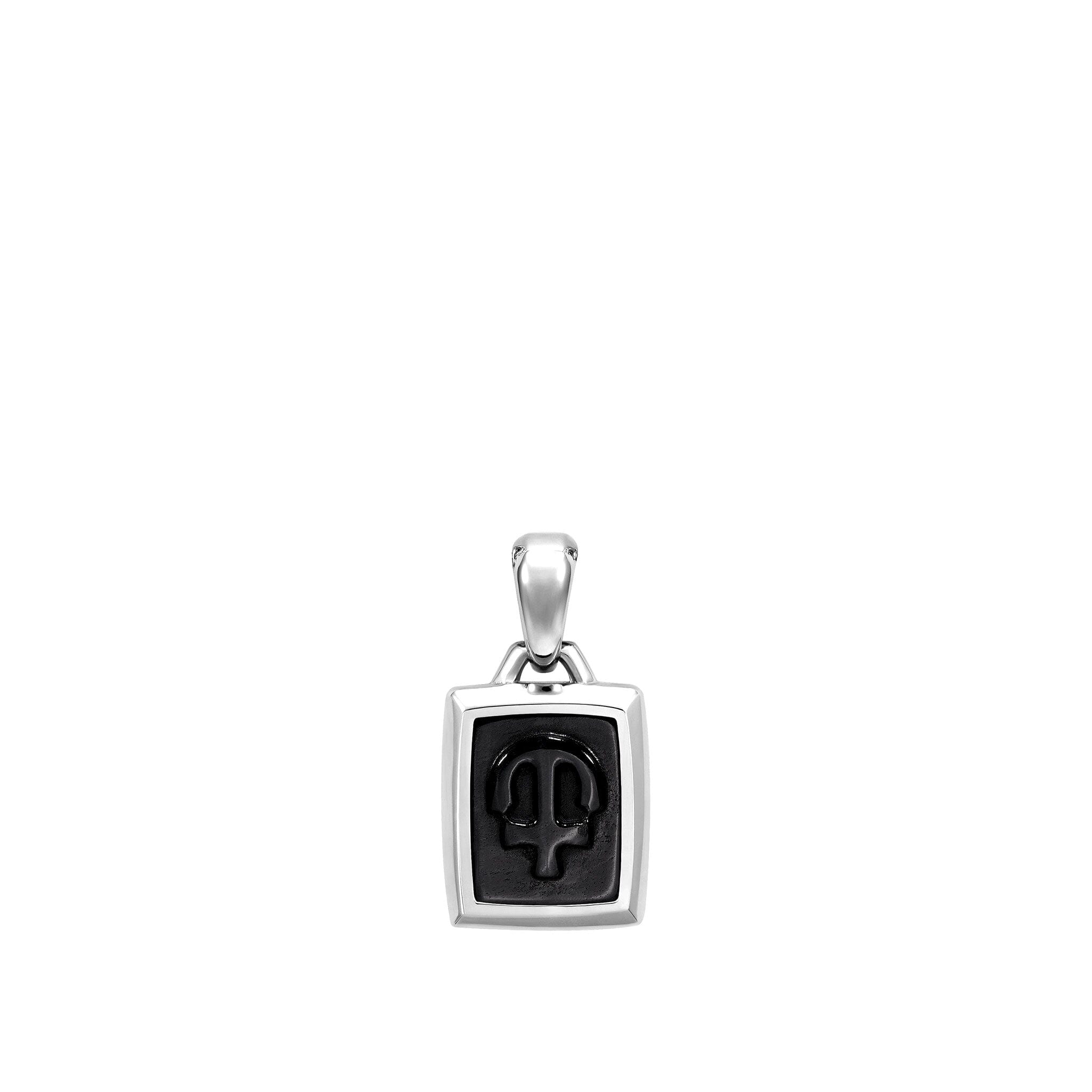 Kronos Spiga Necklace Hawk Eye ネックレス AWNL
