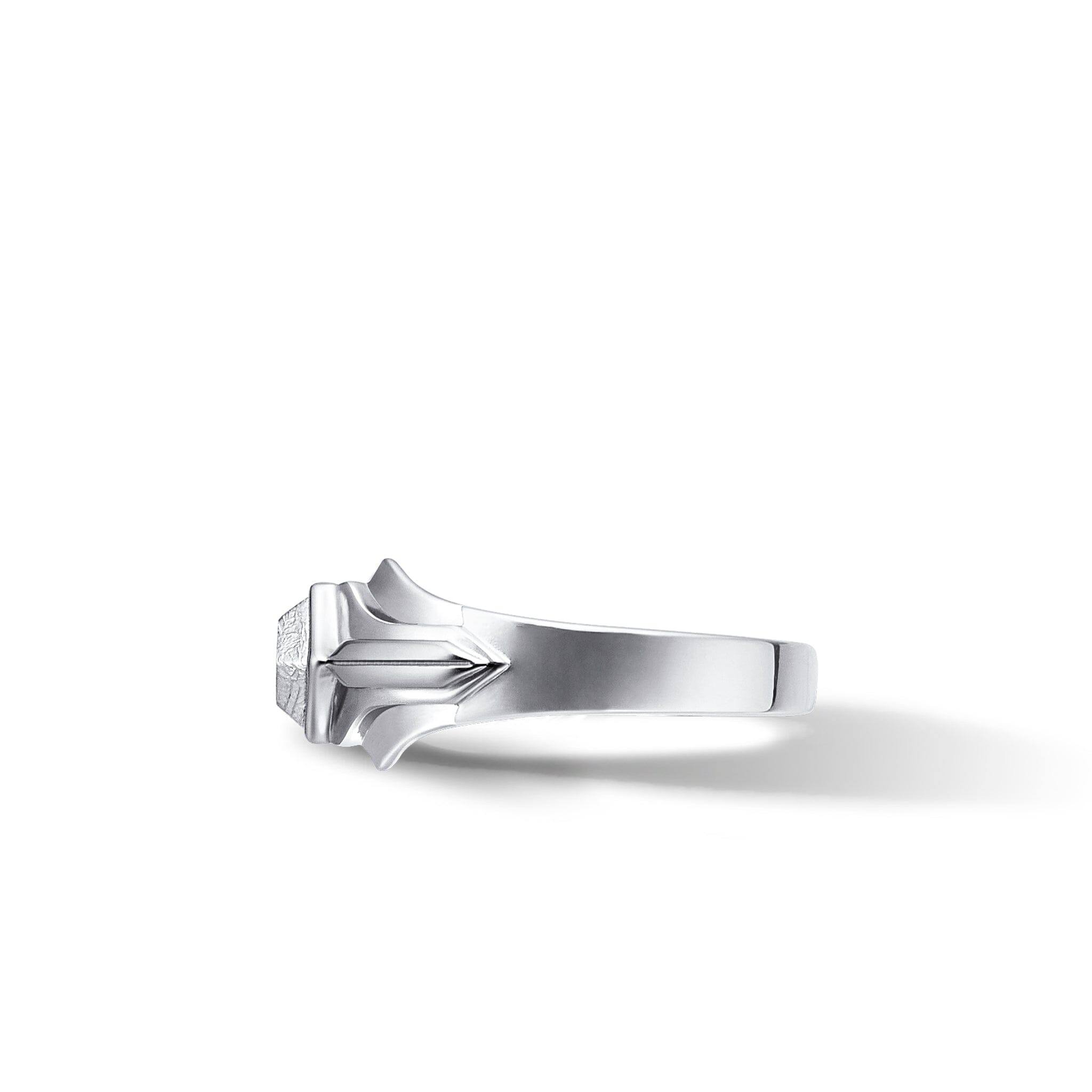 隕石 セブンシーズ リング - 天然石&隕石ジュエリーショップ - AWNL Japan