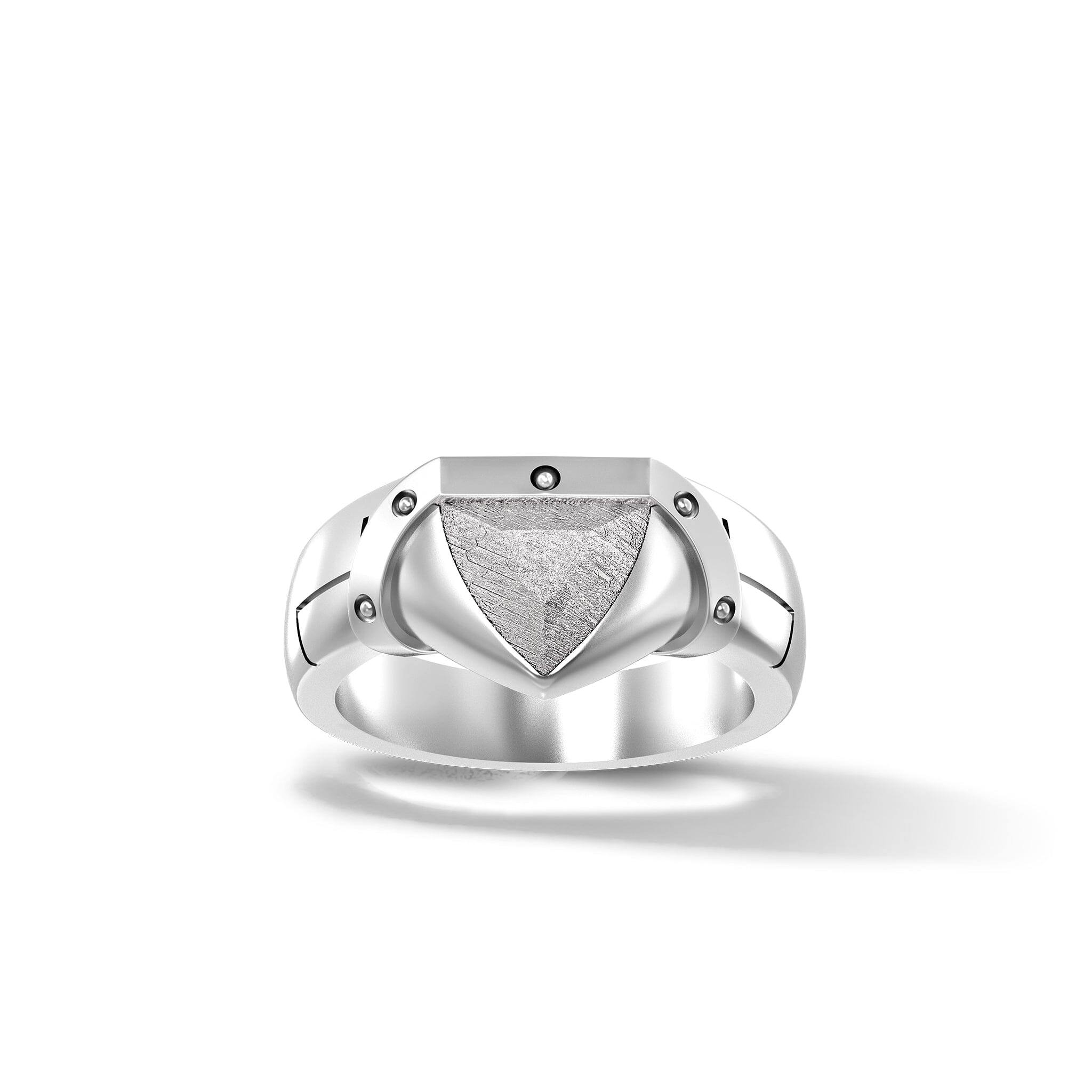 隕石 盾状 リング - 天然石&隕石ジュエリーショップ - AWNL Japan