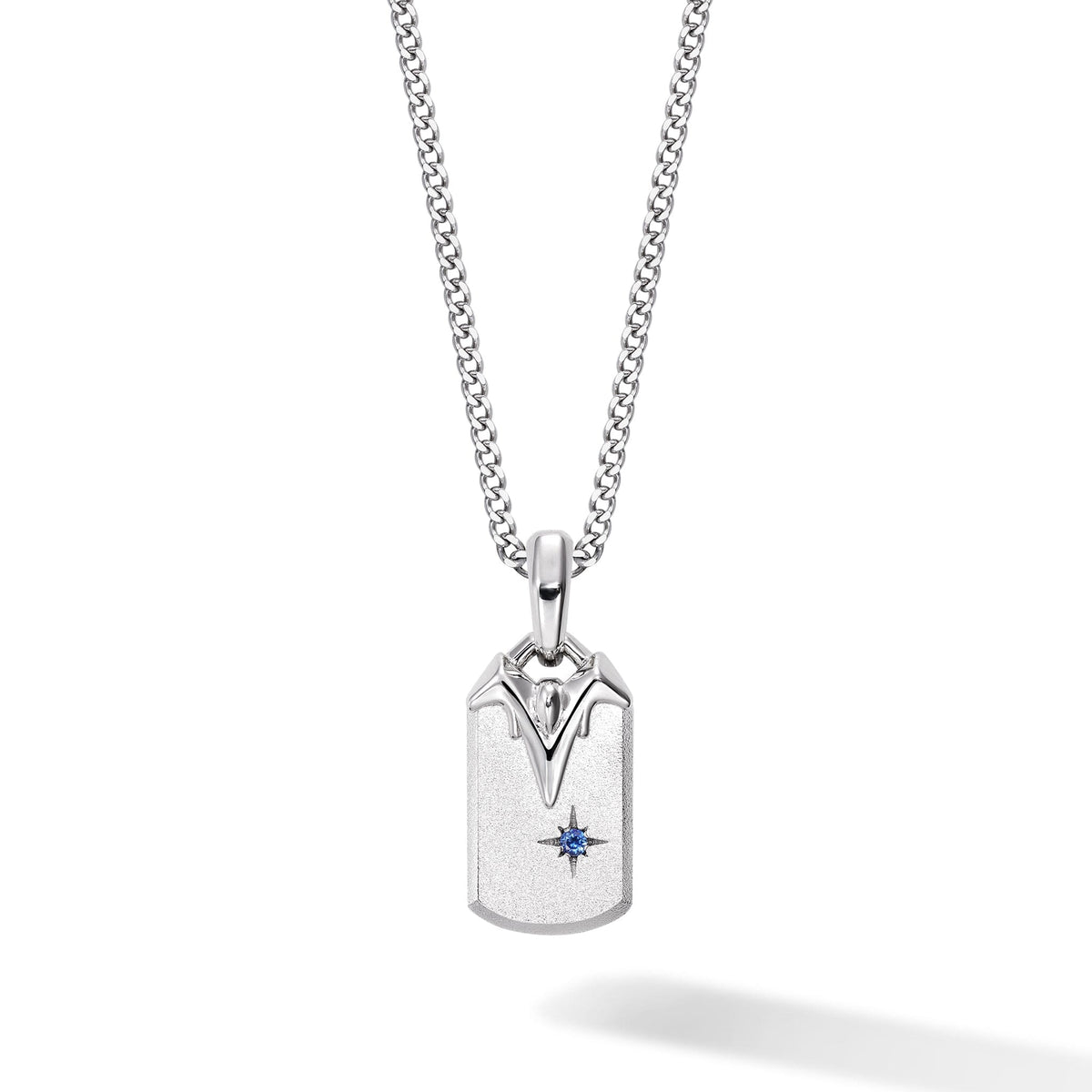 Tanngrisnir Necklace Sapphire ネックレス AWNL Stainless Set 50cm