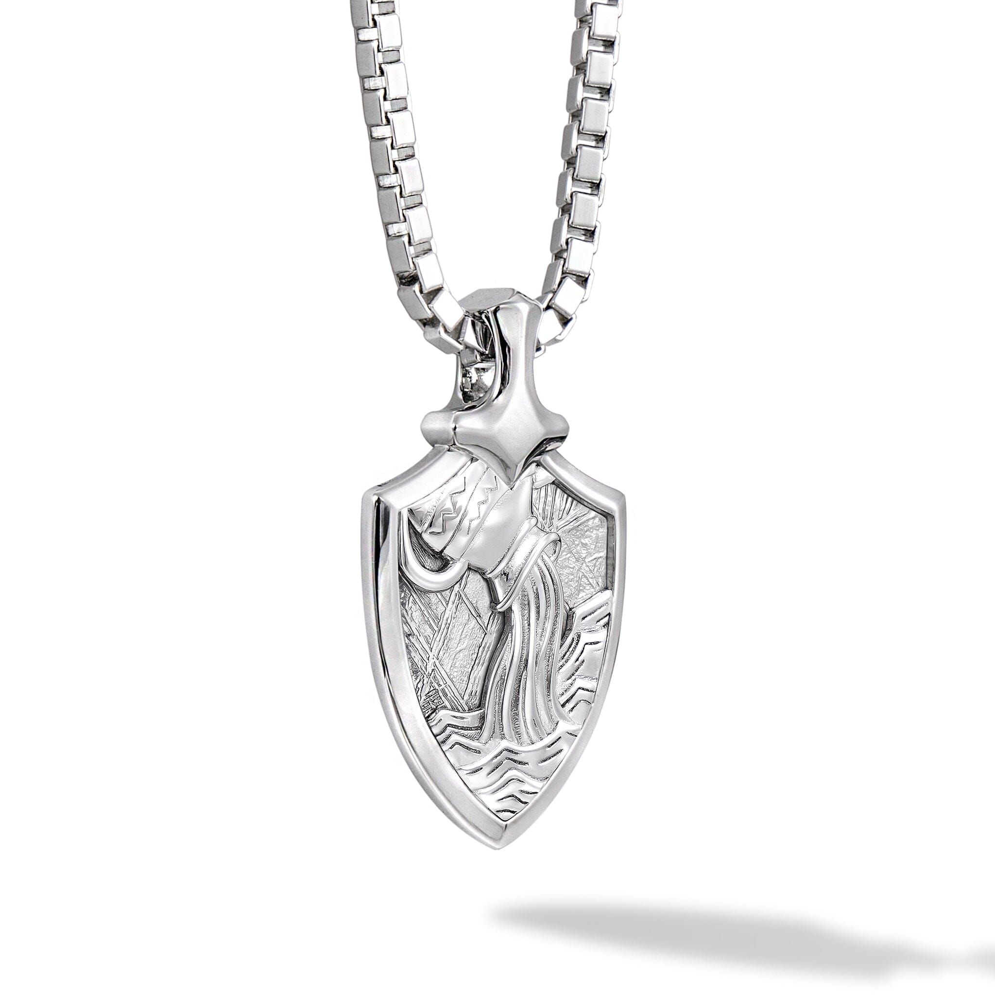 隕石 みずがめ座 ネックレス ネックレス AWNL