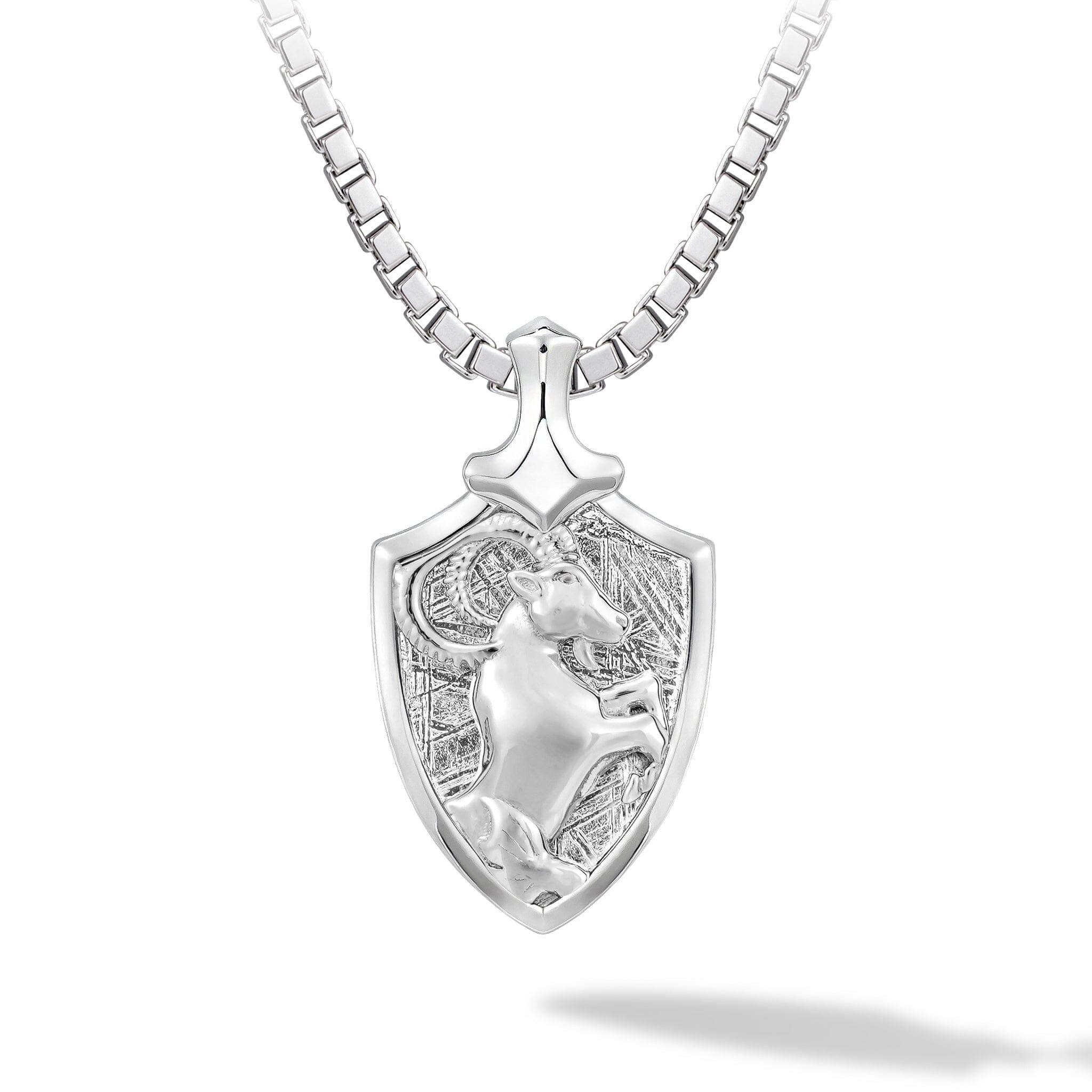 隕石 やぎ座 ネックレス - 天然石&隕石ジュエリーショップ - AWNL Japan