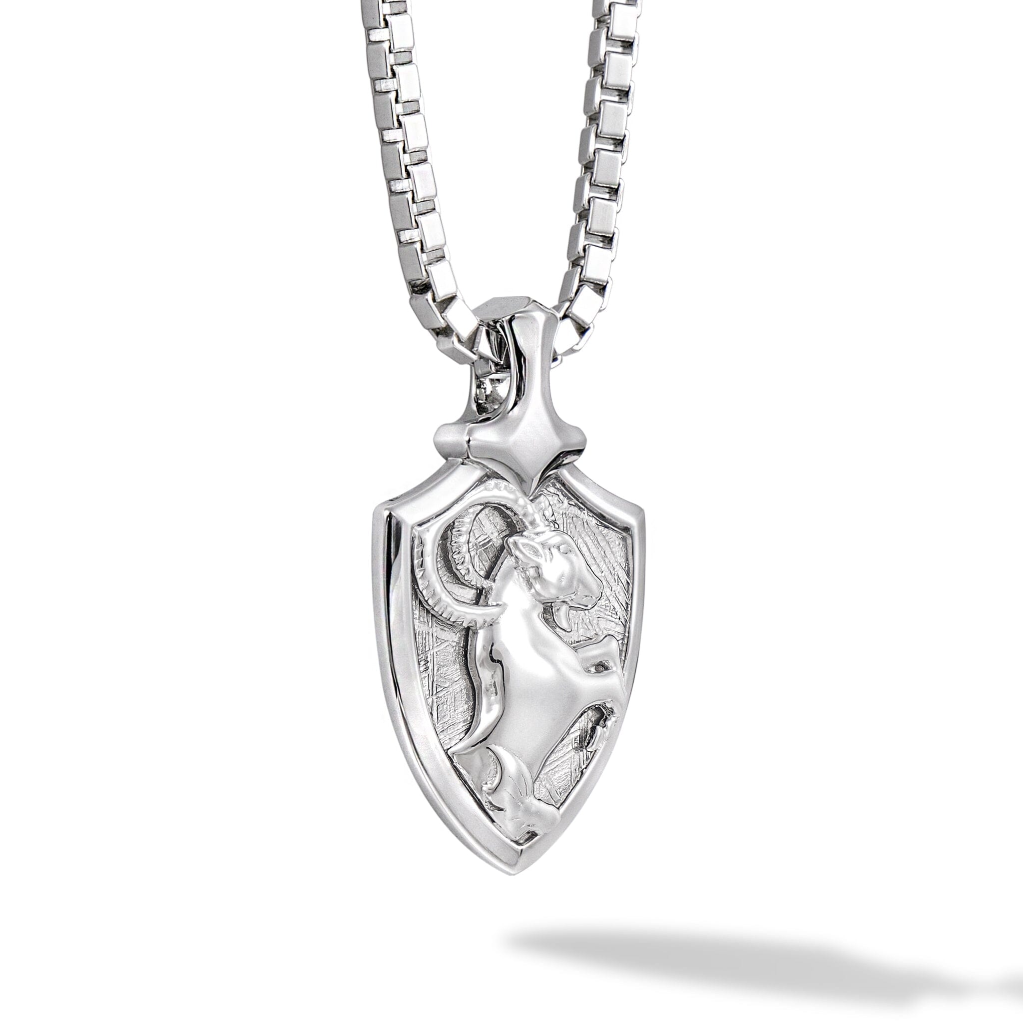 隕石 やぎ座 ネックレス ネックレス AWNL