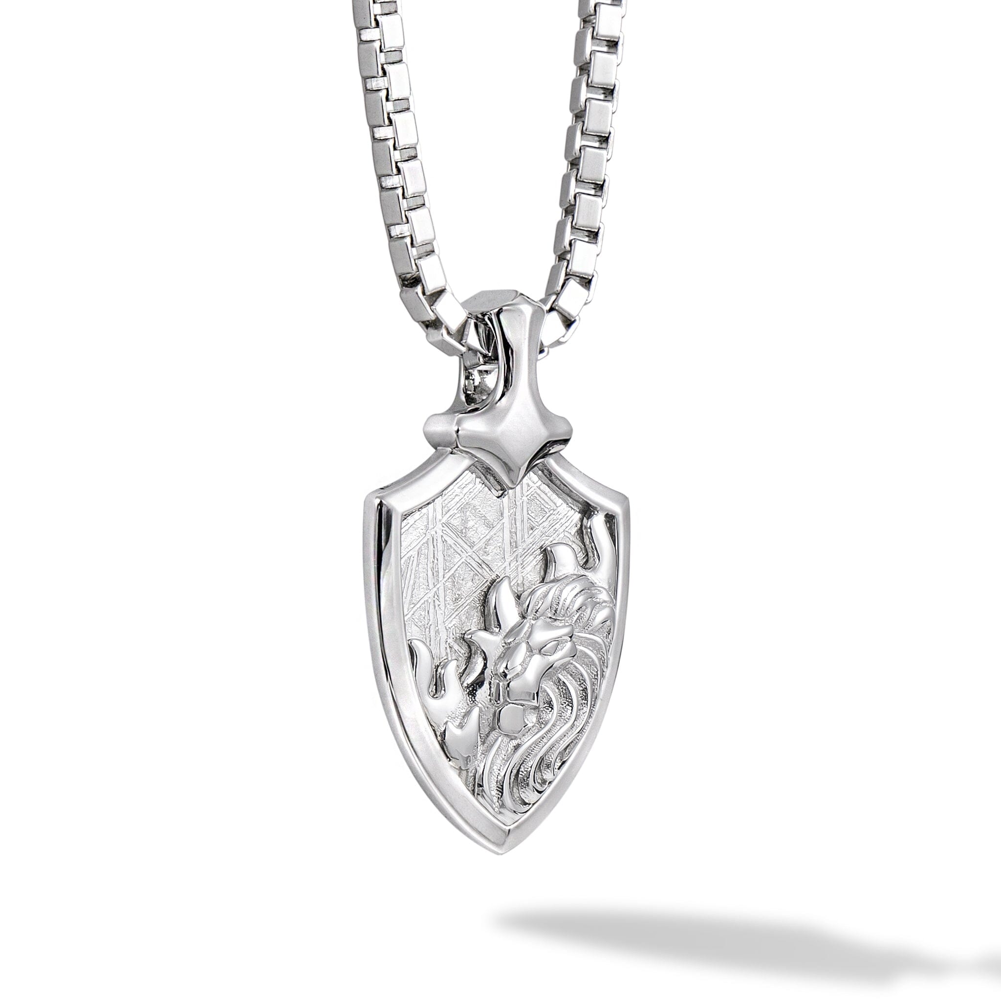 隕石 しし座 ネックレス ネックレス AWNL