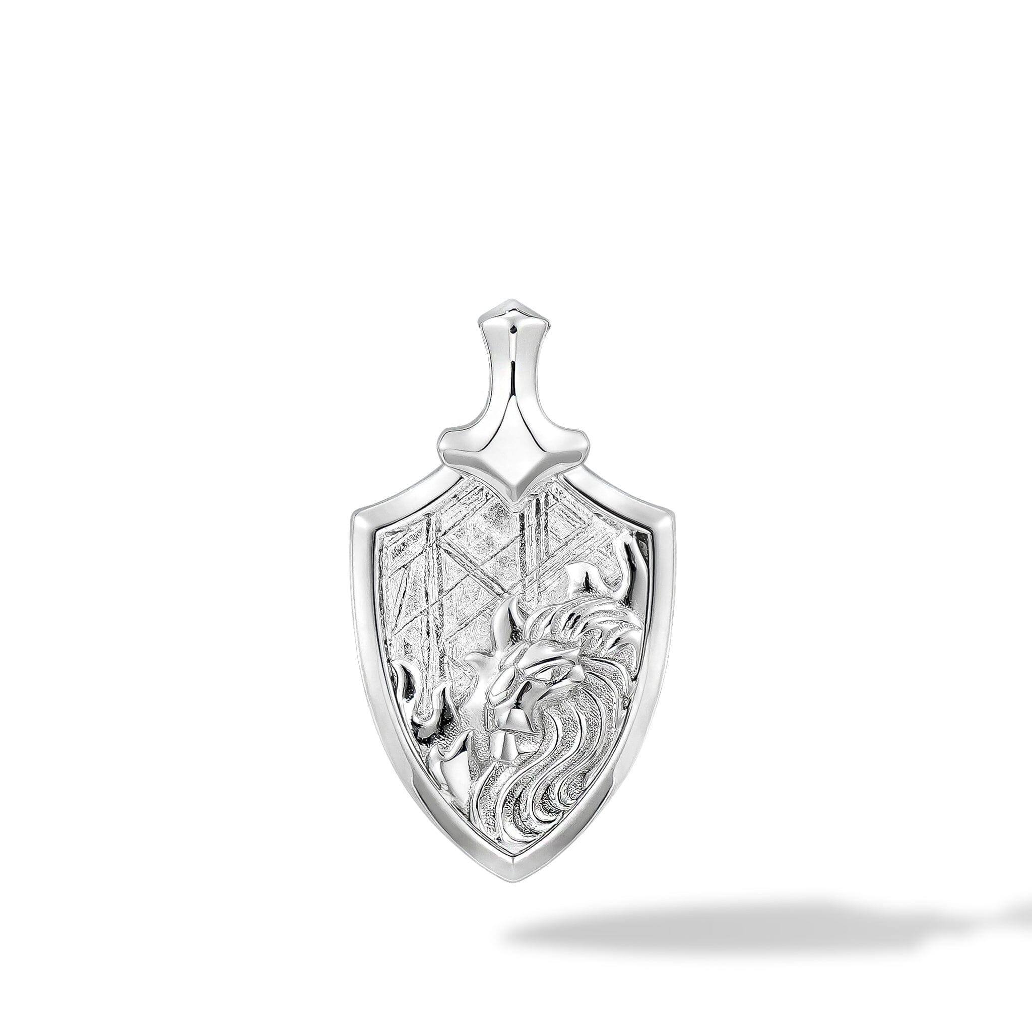 隕石 しし座 ネックレス - 天然石&隕石ジュエリーショップ - AWNL Japan