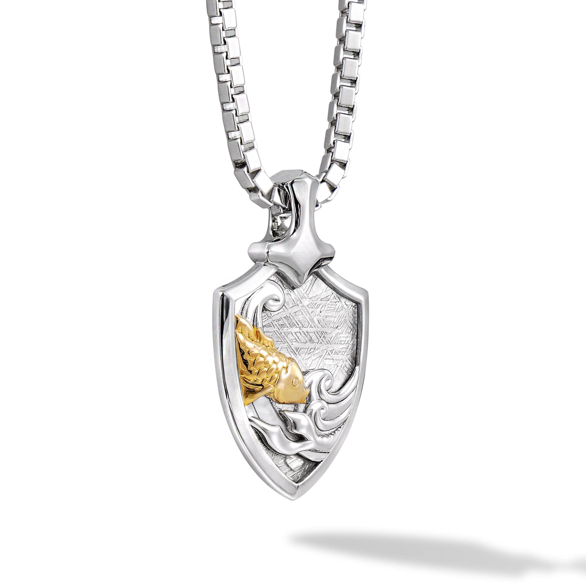 隕石 うお座 ネックレス ネックレス AWNL