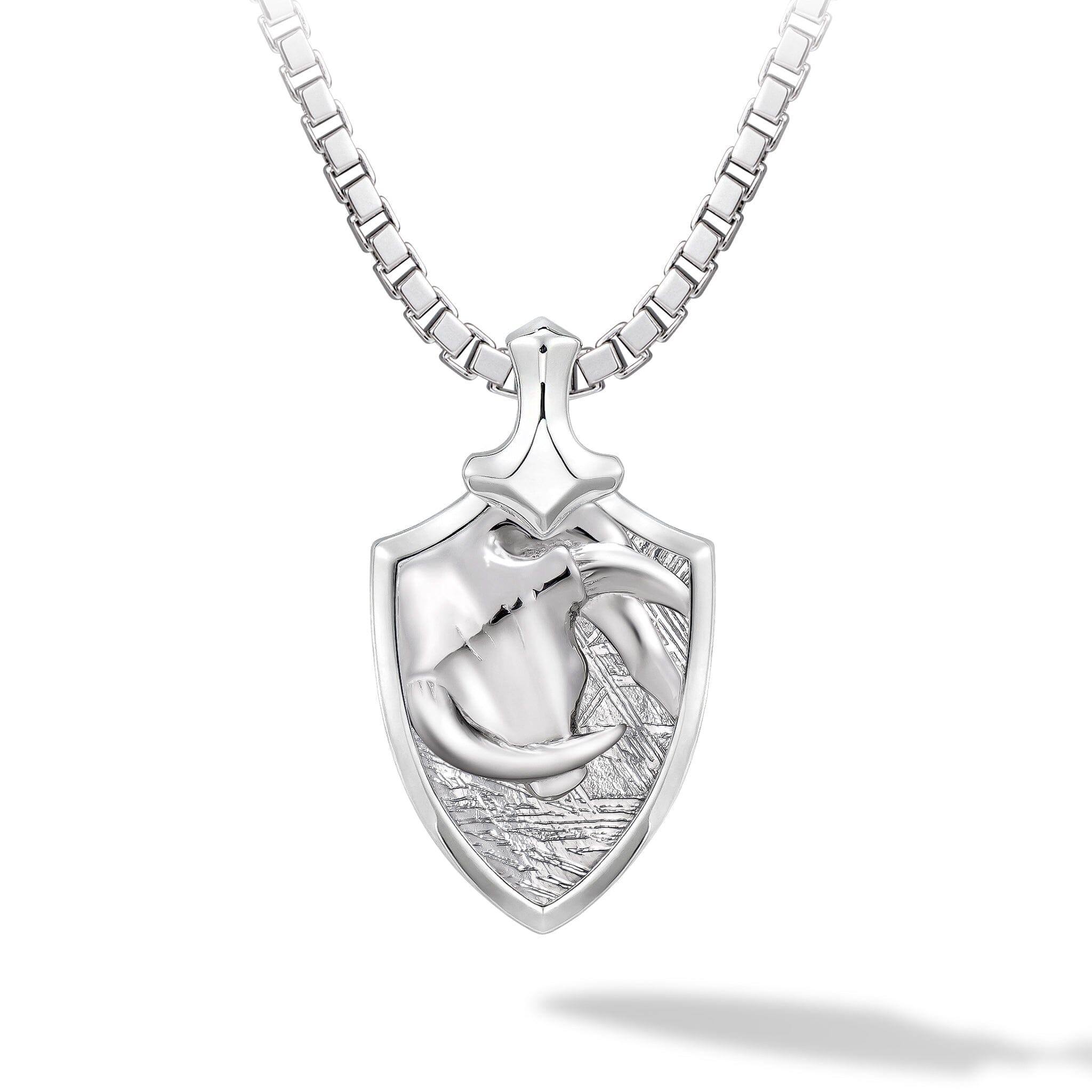 隕石 おうし座 ネックレス - 天然石&隕石ジュエリーショップ - AWNL Japan