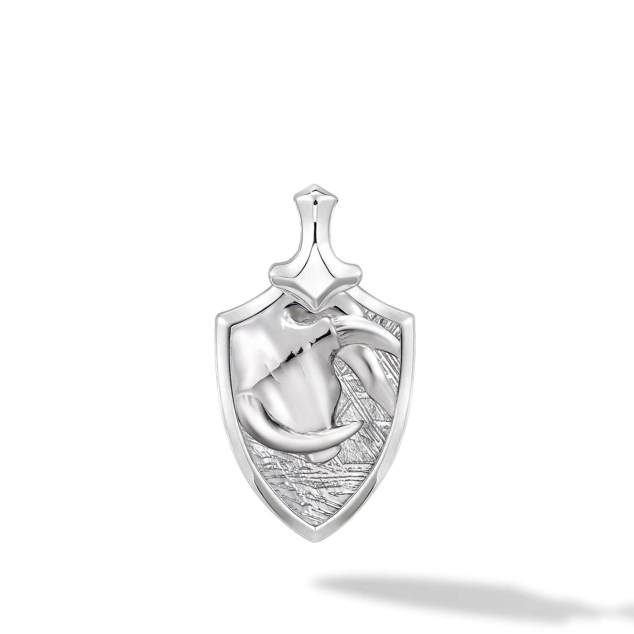 隕石 おうし座 ネックレス - 天然石&隕石ジュエリーショップ - AWNL Japan