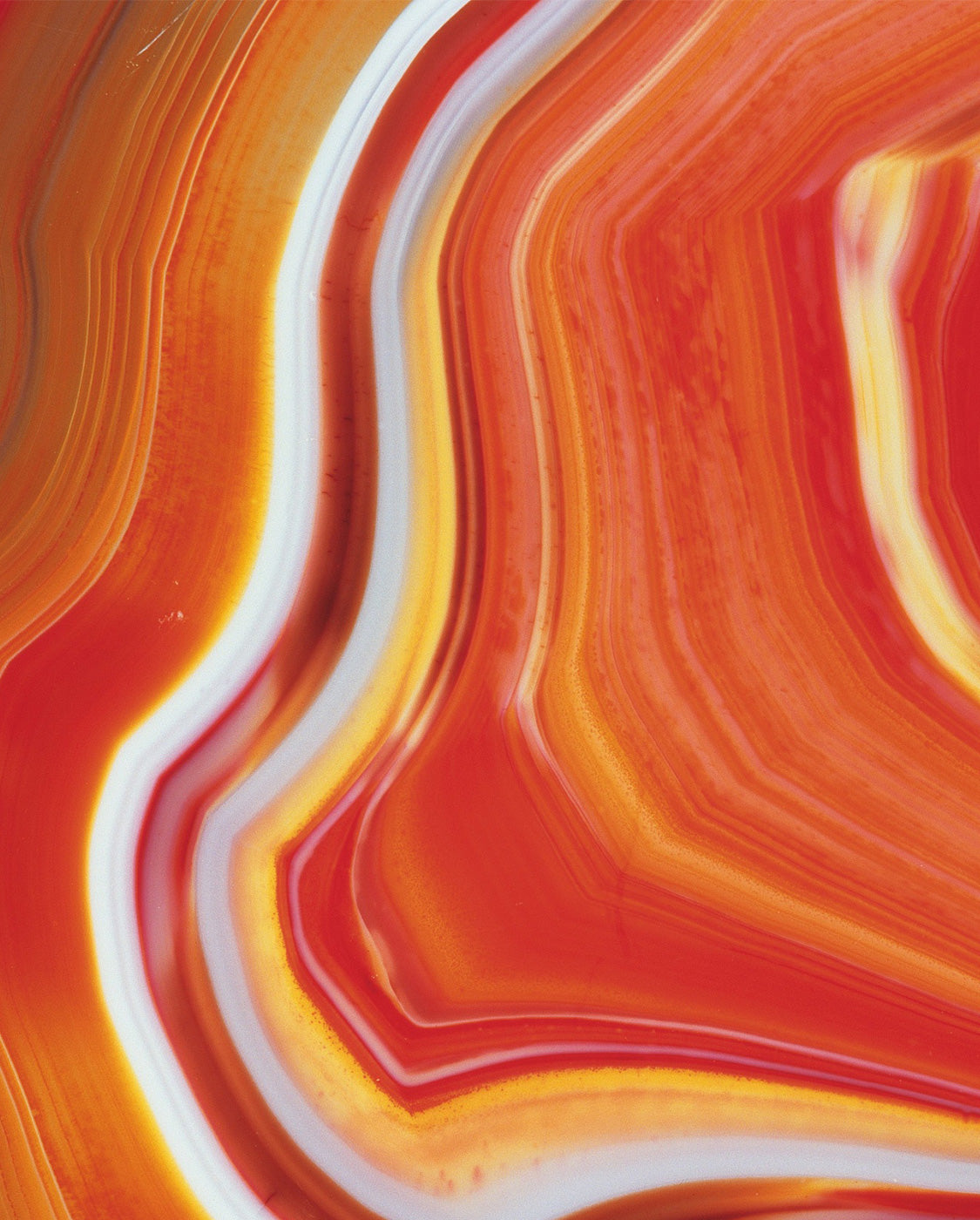 AWNL Japan｜シトリン 誕生石 天然石 アクセサリー| パワーストーン