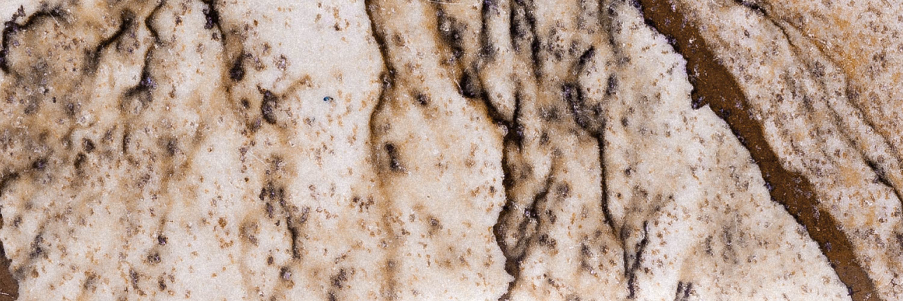 AWNL Japan｜ピクチャージャスパー 誕生石 天然石 アクセサリー