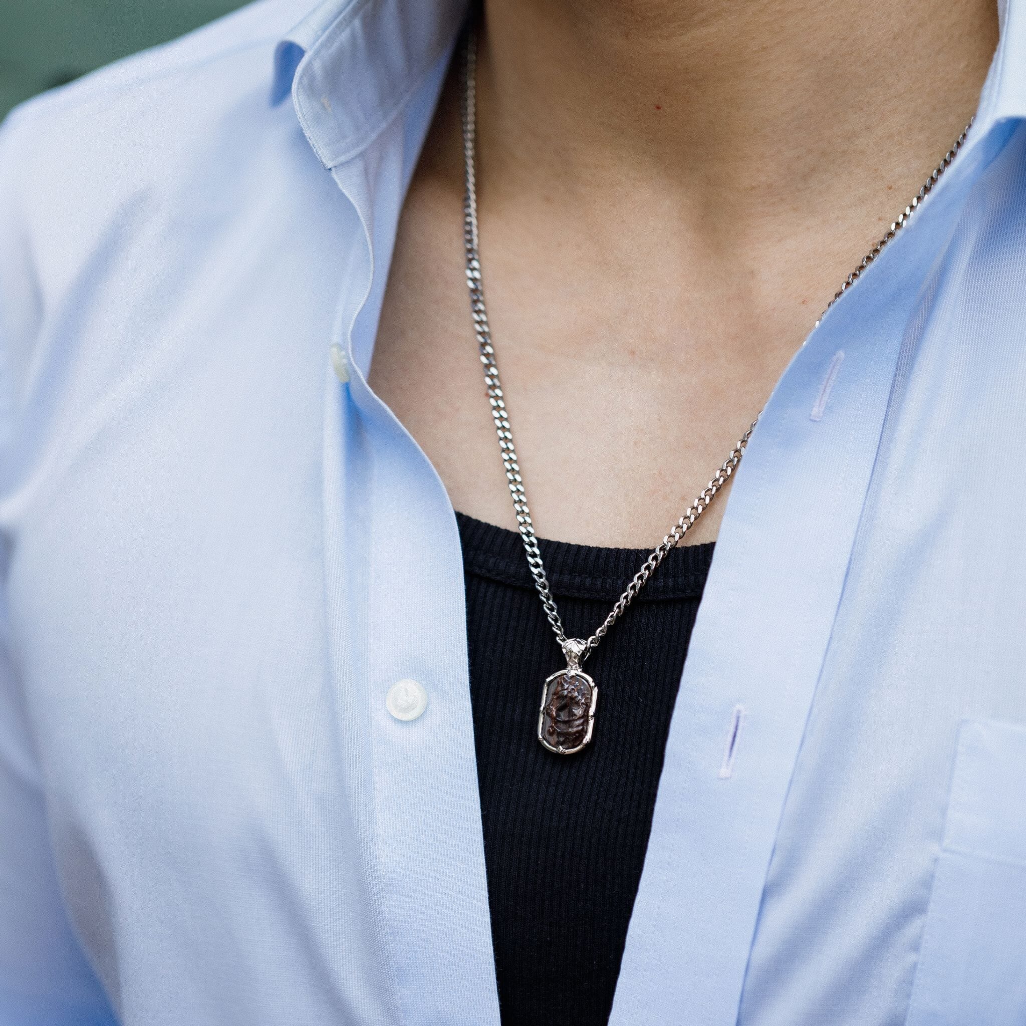 Sleipnir Tag Necklace Tiger Iron ネックレス AWNL 